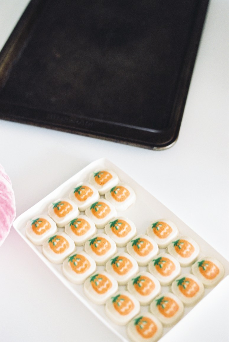 Film_Lifestyle_Food_Blog_Dahlia_Homestead-25